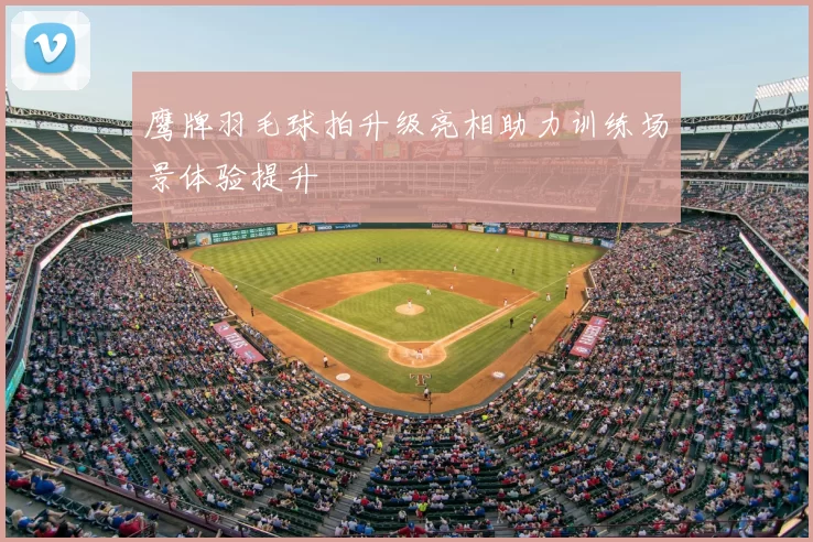 鹰牌羽毛球拍升级亮相助力训练场景体验提升