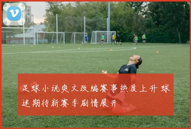 足球小说爽文改编赛事热度上升 球迷期待新赛季剧情展开