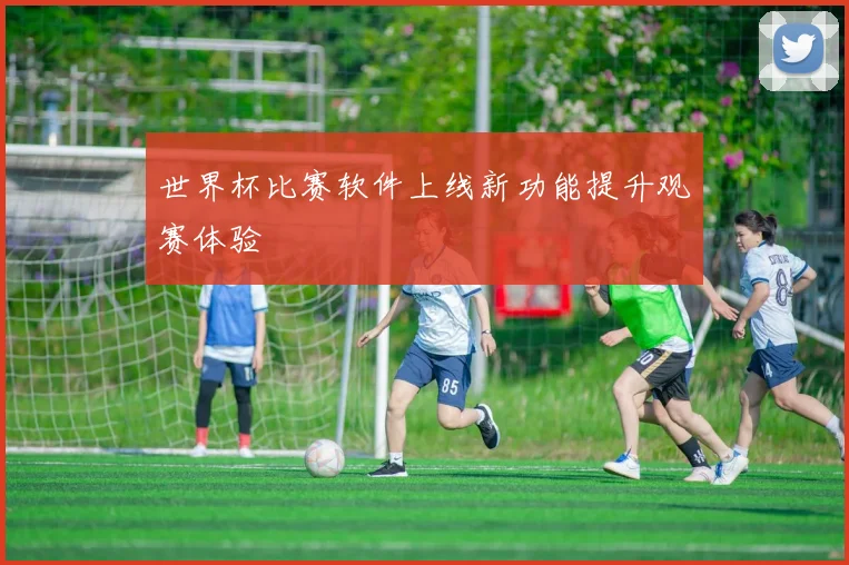 世界杯比赛软件上线新功能提升观赛体验