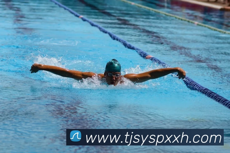 qy千亿 - 千亿(国际)唯一官方网站平台生态图